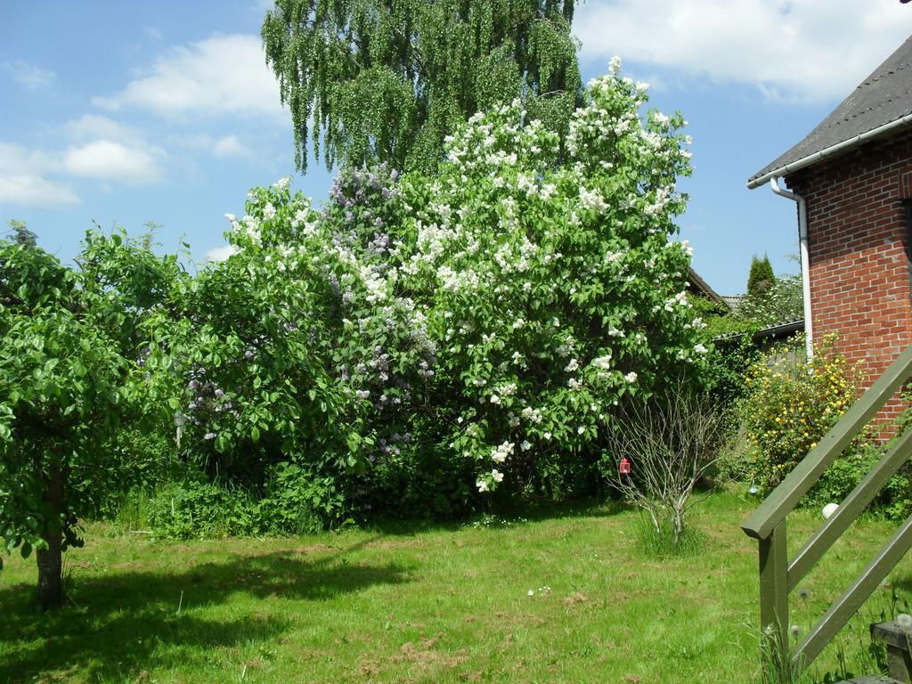 Borup Bed & Breakfast Exteriör bild