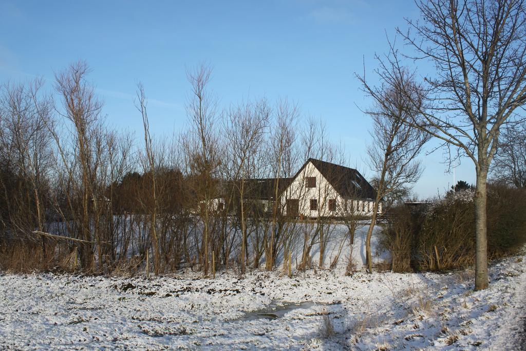 Borup Bed & Breakfast Exteriör bild