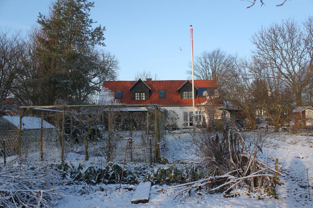 Borup Bed & Breakfast Exteriör bild