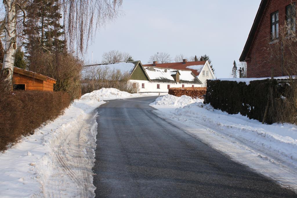 Borup Bed & Breakfast Exteriör bild